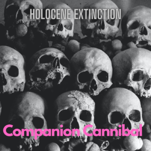 Companion Cannibal Discography