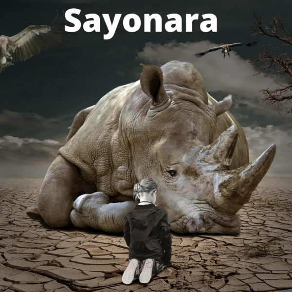 Sayonara by dan willard download